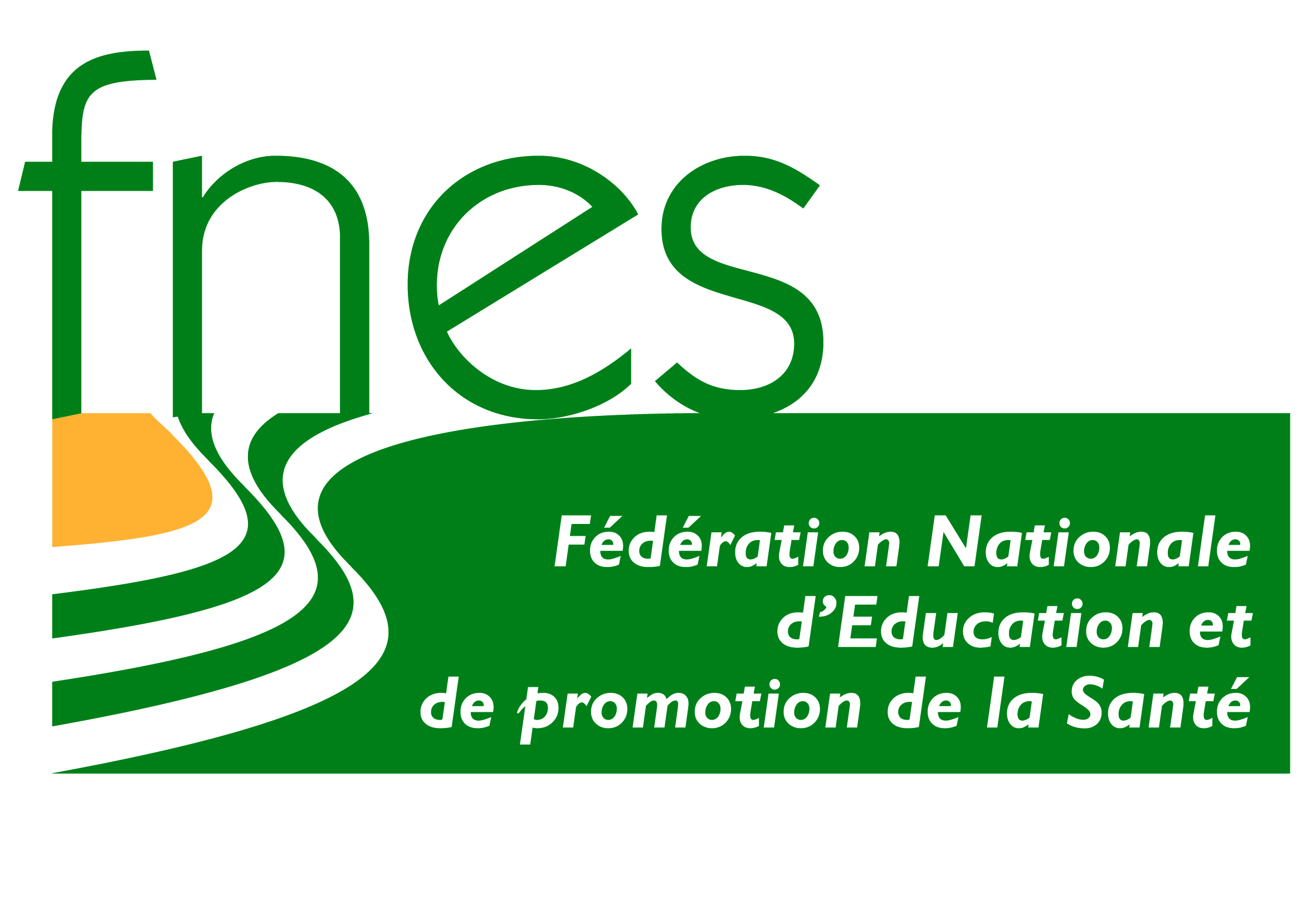 Logo FNES